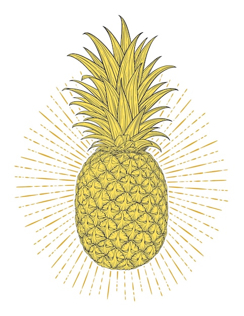 Piña decorativa dibujada a mano Fruta colorida estilizada Naturaleza de fondo de primavera de verano
