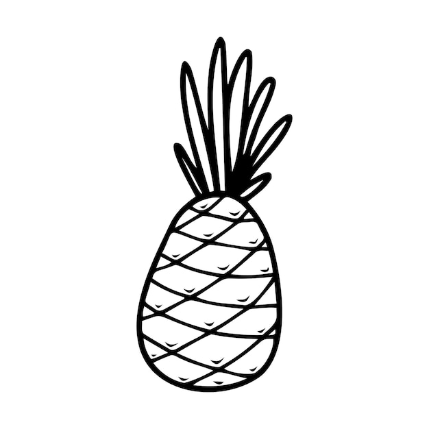 Vector piña dibujada a mano aislada en un fondo blanco