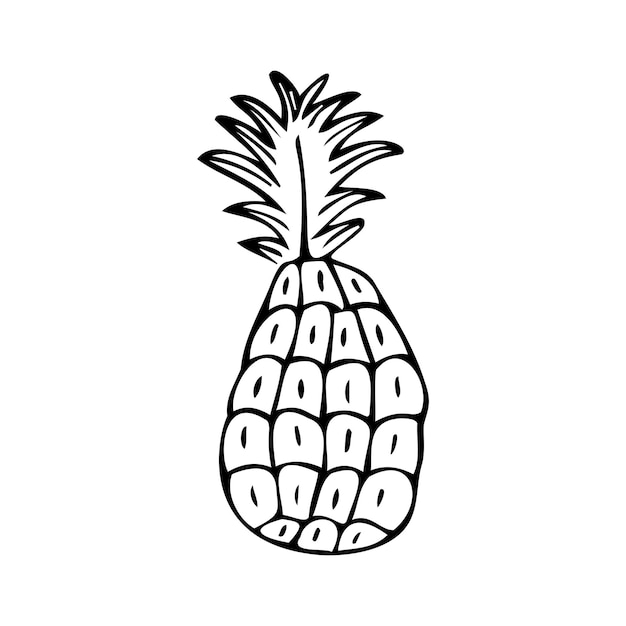 Piña dibujada a mano sola