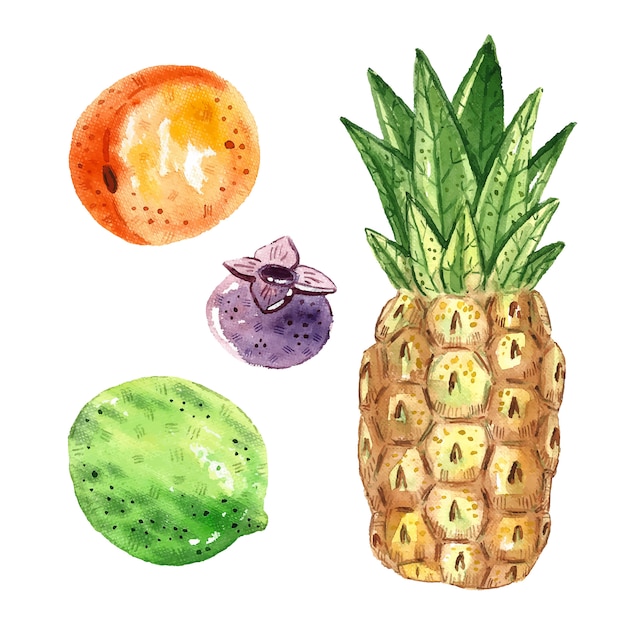 Vector piña, lima, albaricoque, arándano. imágenes prediseñadas de frutas tropicales, set. ilustración de acuarela. comida sana fresca cruda. vegano, vegetariano. verano.