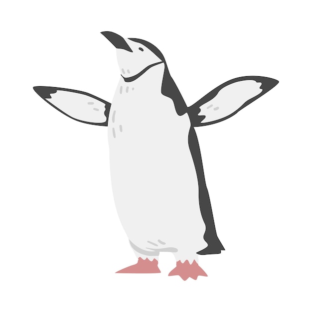 El pingüino chinstrap como ave acuática no voladora con aletas para nadar en postura de pie Ilustración vectorial