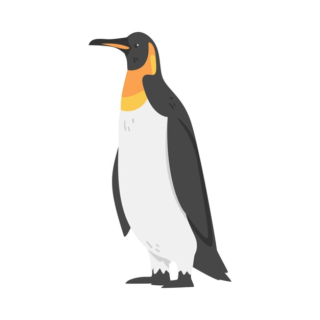 El pingüino emperador como ave acuática no voladora con aletas para nadar de pie Ilustración vectorial