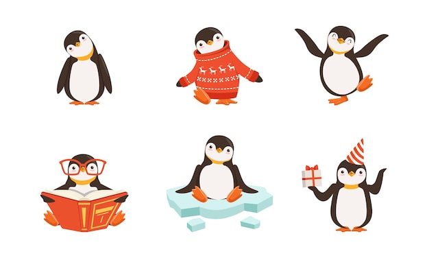 Vector pingüino lindo personajes de dibujos animados conjunto vectorial criatura ártica con suéter