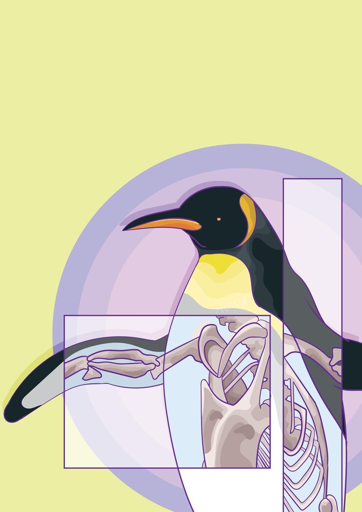 Vector pingüino