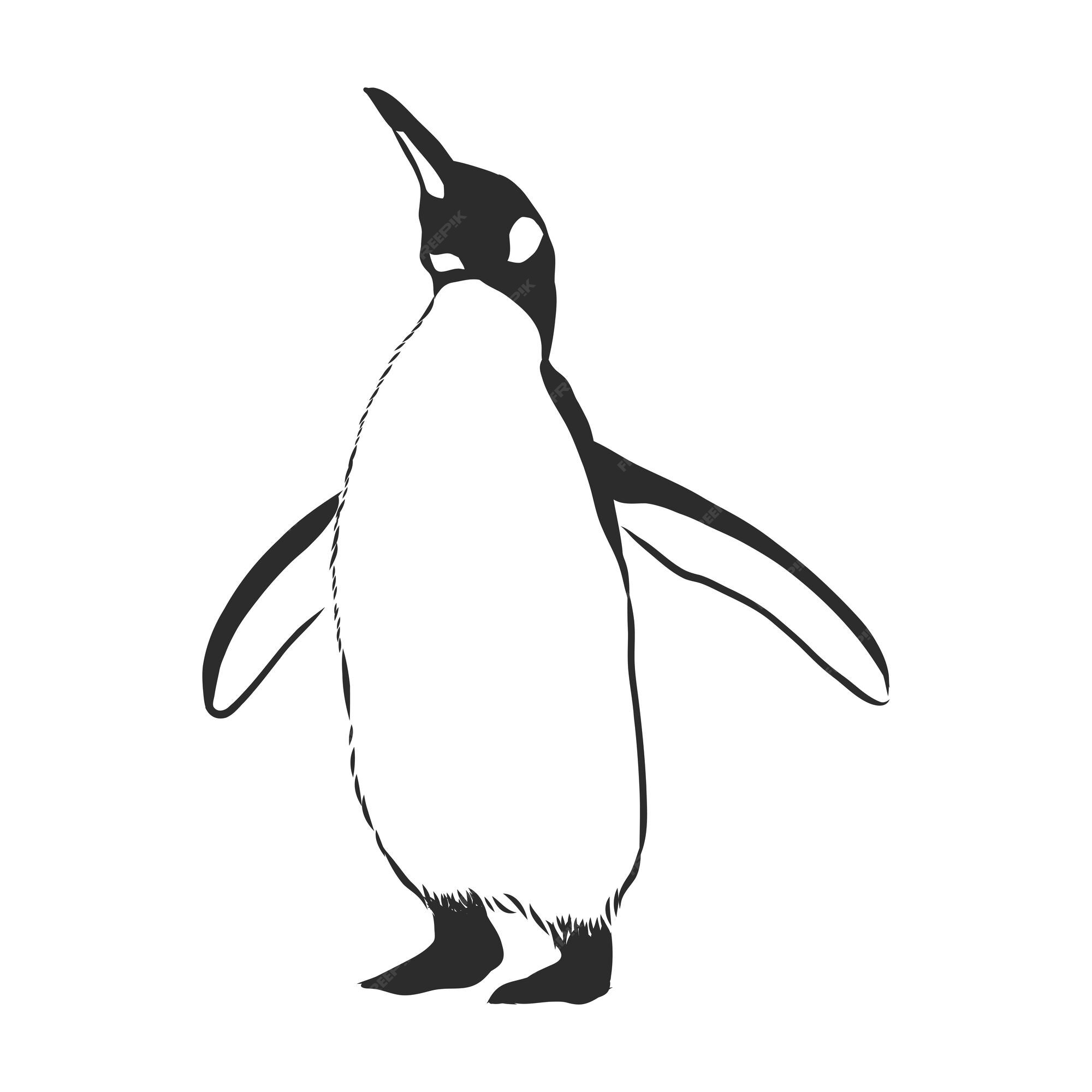 Pingüinos de dibujo a mano. ilustración vectorial, pingüino, ilustración de dibujo vectorial | Vector Premium