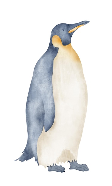 Pingüinos emperador acuarela Ilustración dibujada a mano aislada sobre fondo blanco Dibujo