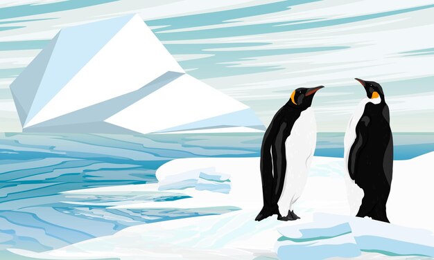 Vector los pingüinos emperador se paran en el océano y miran un gran iceberg aves de los polos sur