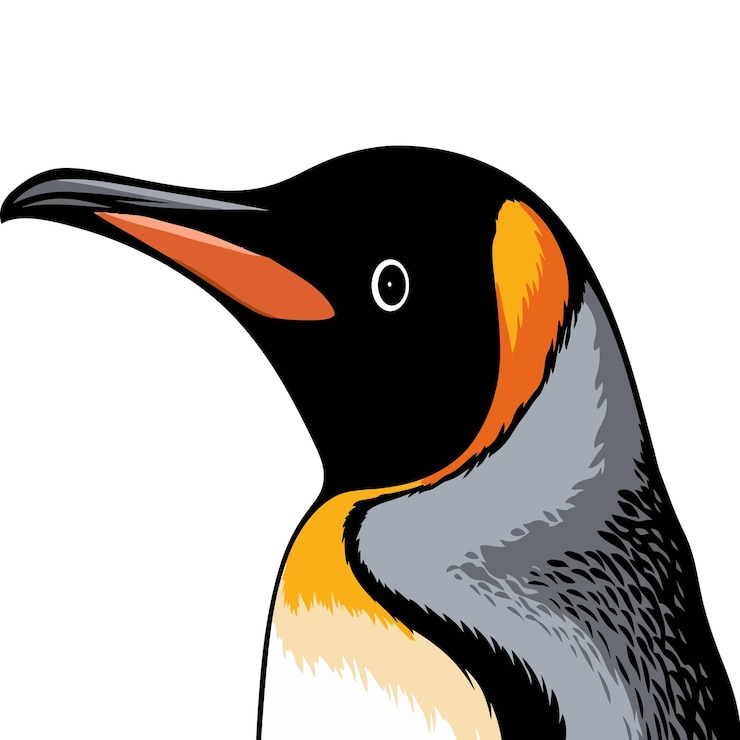 Vector los pingüinos rey minimalistas en el vector