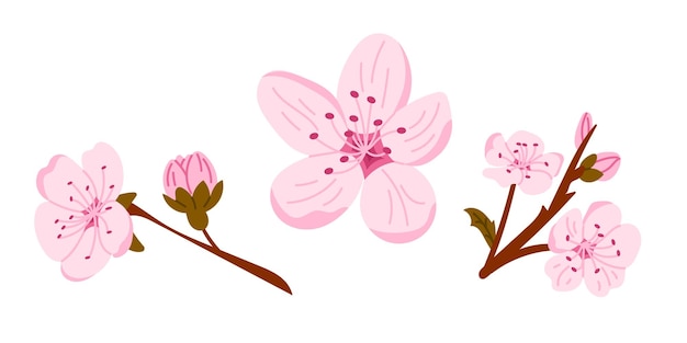 Pink cherry blossoms and buds flat style