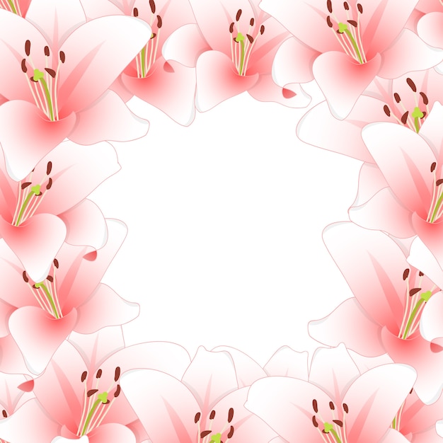 Vector pink lily flower border aislado en blanco background2