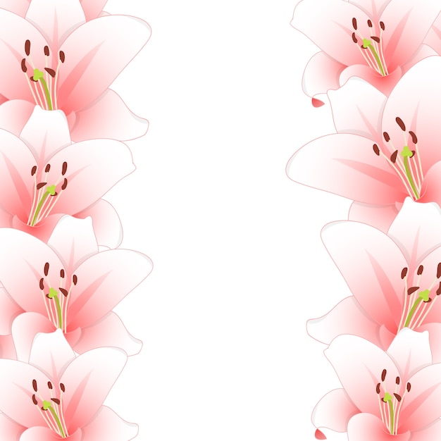 Vector pink lily flower border aislado en el fondo blanco