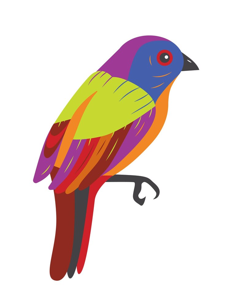 Vector pintado bunting cardinal un colorido pájaro exótico elemento aislado para su diseño