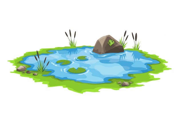 Pintoresco estanque de agua con cañas y piedras alrededor. El concepto de un pequeño lago abierto de pantano en un estilo de paisaje natural. Diseño gráfico para la temporada de primavera.