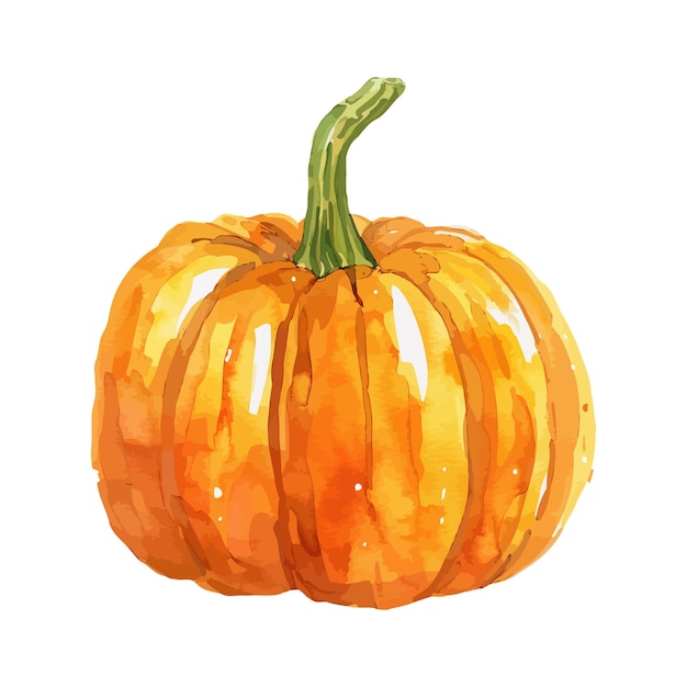 una pintura en acuarela de una calabaza con un tallo verde