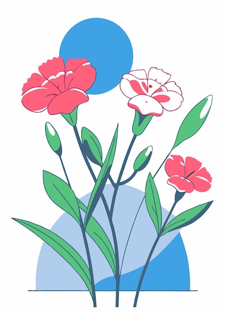 Pintura en acuarela de Dianthus caryophyllids arte de ilustración sobre un fondo blanco