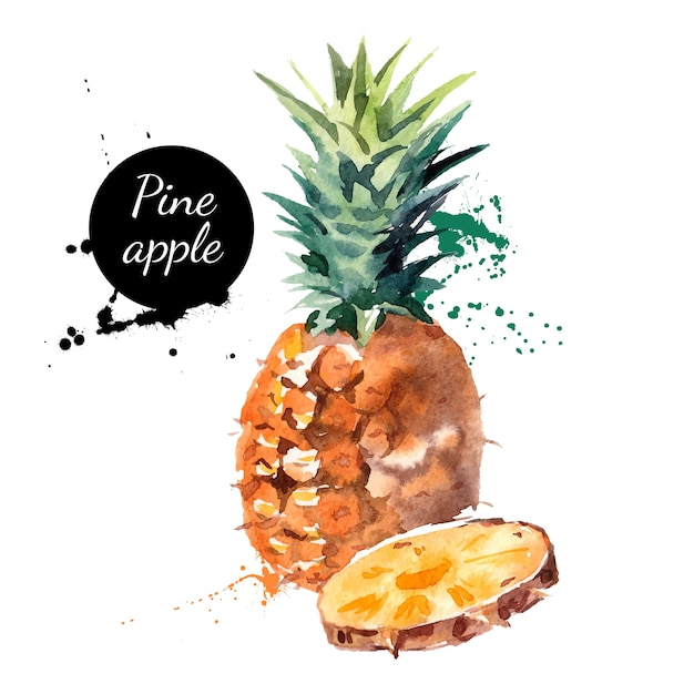 Vector pintura acuarela dibujada a mano sobre fondo blanco. ilustración de vector de piña de fruta