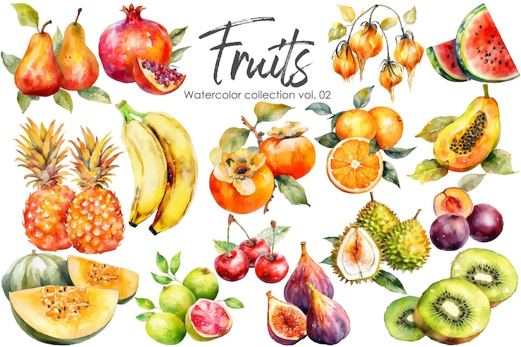 Vector pintura acuarela de frutas elementos de frutas frescas vectoriales dibujados a mano aislados sobre fondo blanco