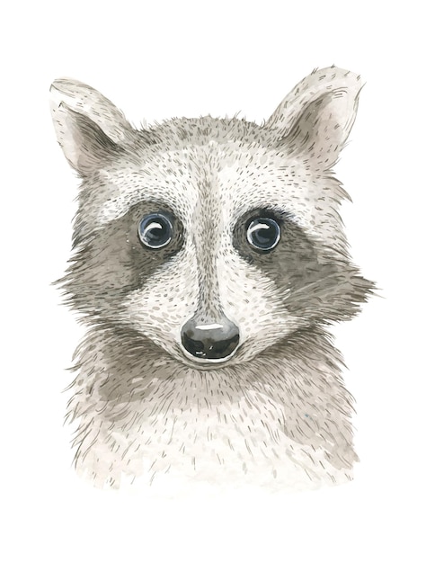 Pintura de acuarela con retrato de mapaches aislada sobre un fondo blanco