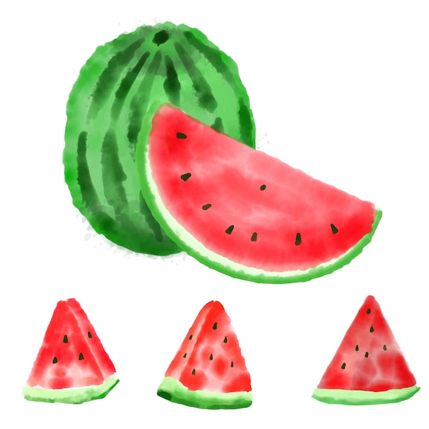 Pintura acuarela de sandía aislada en vector de fondo blanco