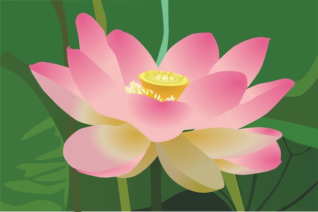 una pintura de una flor de loto