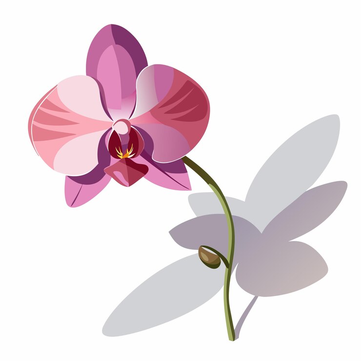 Vector una pintura de una flor con la palabra " rosa " en ella