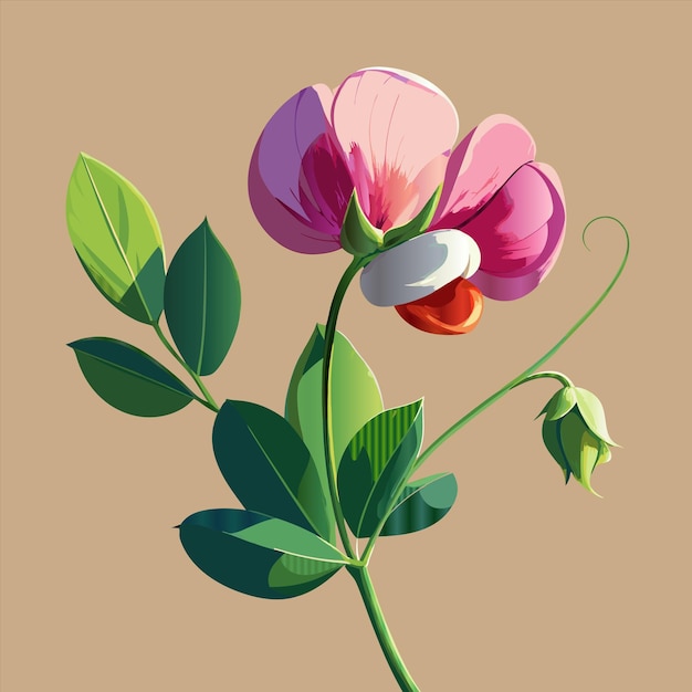 una pintura de una flor con la palabra "tulipa" en ella