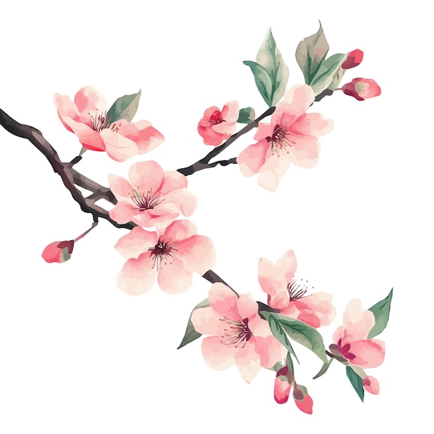 una pintura de flores rosas sobre un fondo blanco