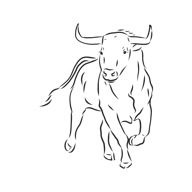 Pintura lineal en blanco y negro dibujar ilustración de vector de toro. toro, vector, bosquejo, ilustración