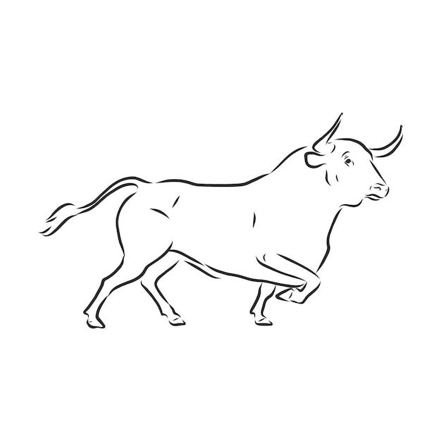 Pintura lineal en blanco y negro dibujar ilustración de vector de toro. toro, vector, bosquejo, ilustración