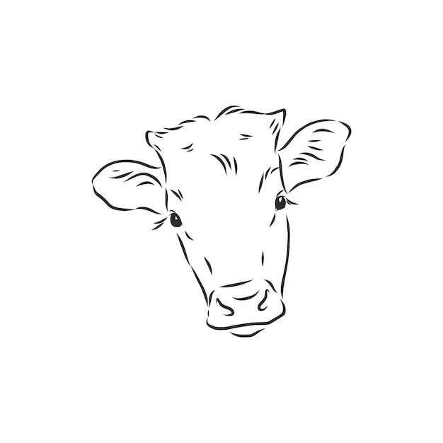 Pintura lineal en blanco y negro dibujar ilustración de vector de toro. toro, vector, bosquejo, ilustración