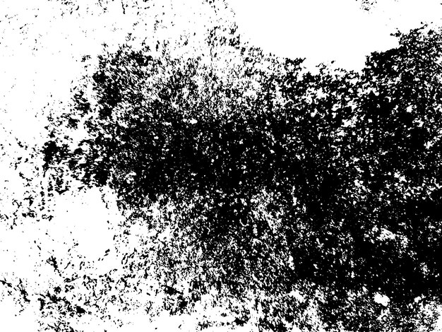 pintura negra y blanca con un fondo negro