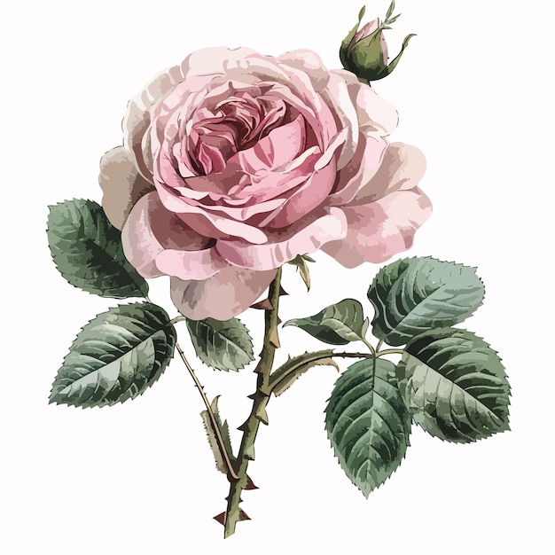 una pintura de una rosa con una hoja verde
