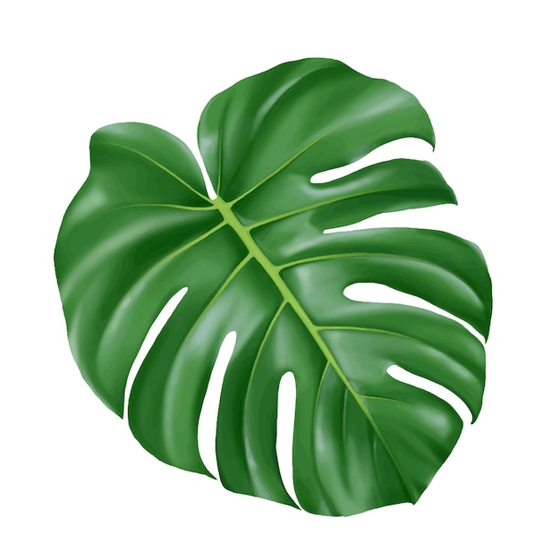 Pintura tropical verde hoja de monstera