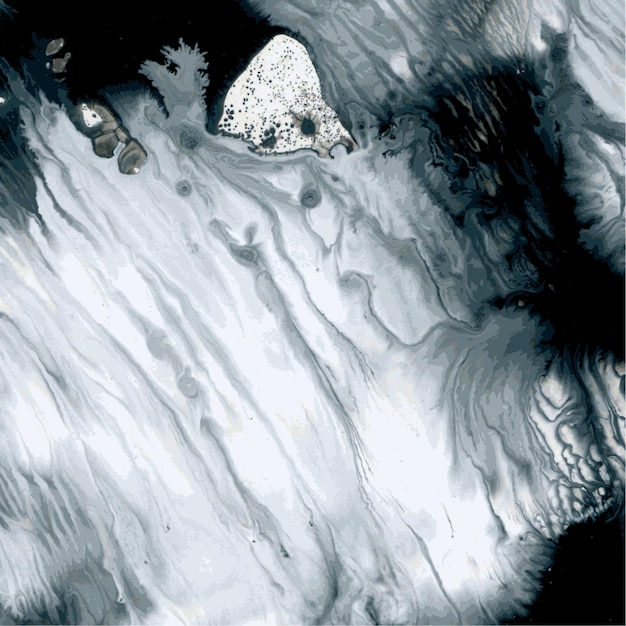 Pintura vectorial abstracta húmeda en blanco y negro en técnica de monotipo