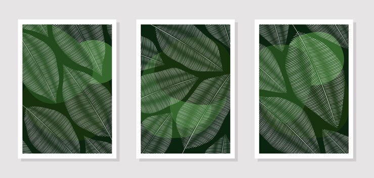 Vector pinturas vectoriales con hojas blancas sobre un fondo verde oscuro, decoración de paredes. un conjunto de imágenes para imprimir.