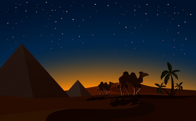 Pirámide y camellos en la escena de la noche del desierto