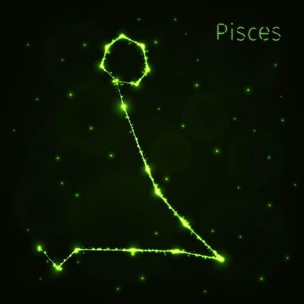 Piscis silueta de luces