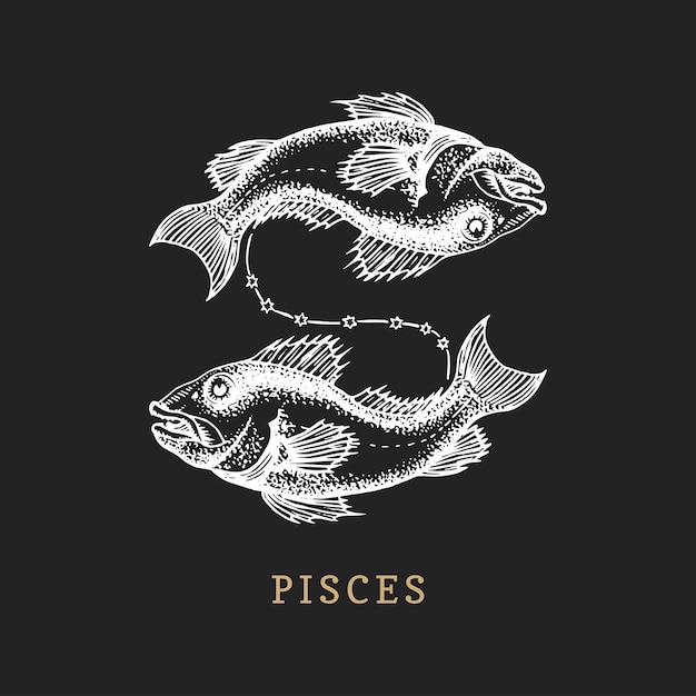 Piscis símbolo del zodiaco dibujado a mano en estilo de grabado Ilustración retro gráfica vectorial del signo astrológico Pez
