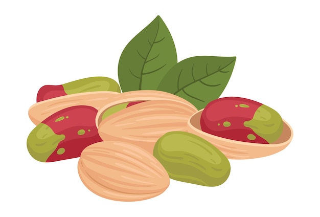 Pistachos un puñado de pistachos crudos de dibujos animados en la cáscara nueces orgánicas sabrosas bocadillo ilustración vectorial plana nueces de pistacho deliciosas en blanco