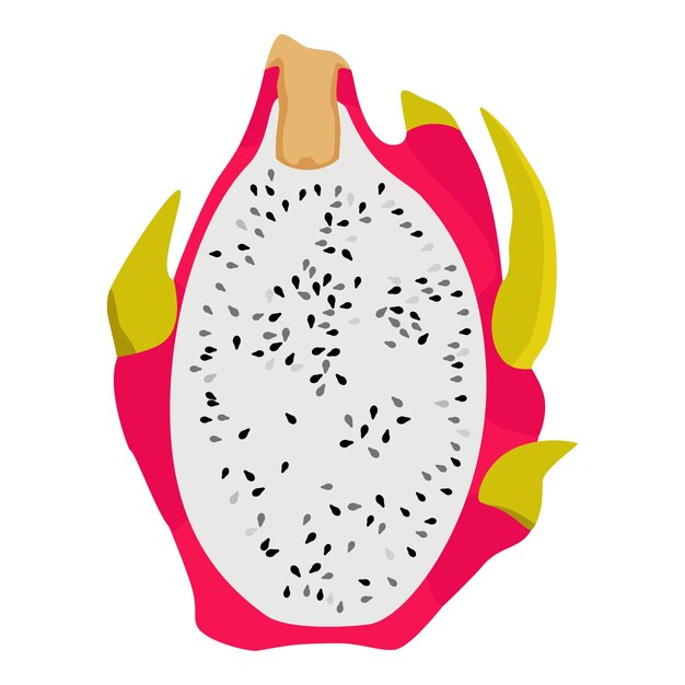 Pitahaya fruta del dragón aislado sobre fondo blanco.