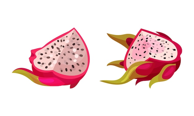 Pitaya o Pitahaya Fruta tropical con un conjunto vectorial de carne blanca y jugosa