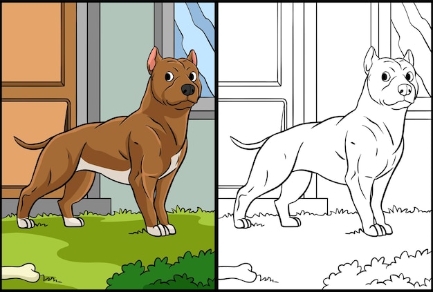 pitbull para colorear página coloreada ilustración