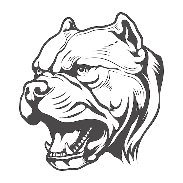 Pitbull perro enojado parece diseño vectorial de tigre