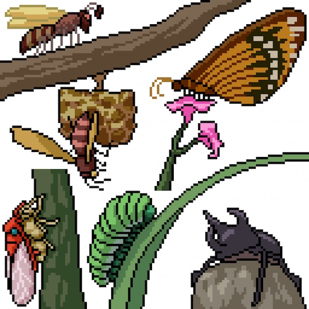 Pixel art establece especies de insectos aislados