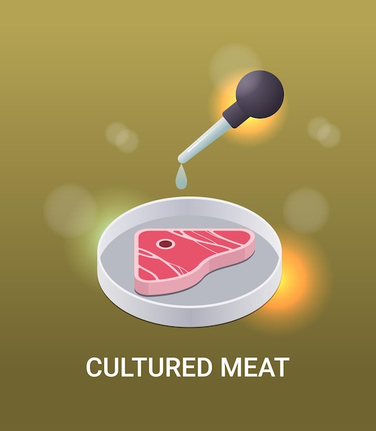 Vector placa de petri con bistec de ternera cultivada carne roja cruda hecha de células animales concepto de producción de carne cultivada en laboratorio artificial