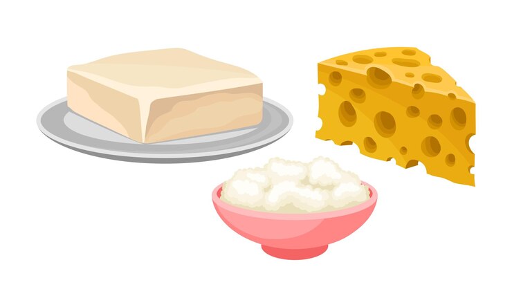 Vector la placa de queso y la mantequilla en el plato como conjunto vectorial de productos lácteos