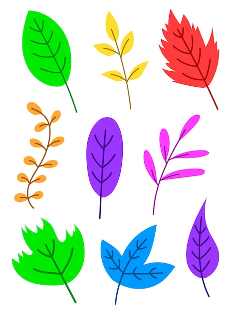 Vector plano de dibujos animados lindo conjunto de hojas de colores. hojas de otoño. hojas tropicales.