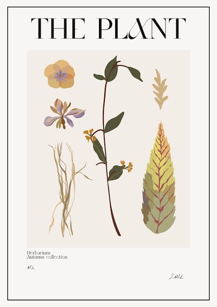 Vector la planta. afiche del mercado de flores de otoño. herbario