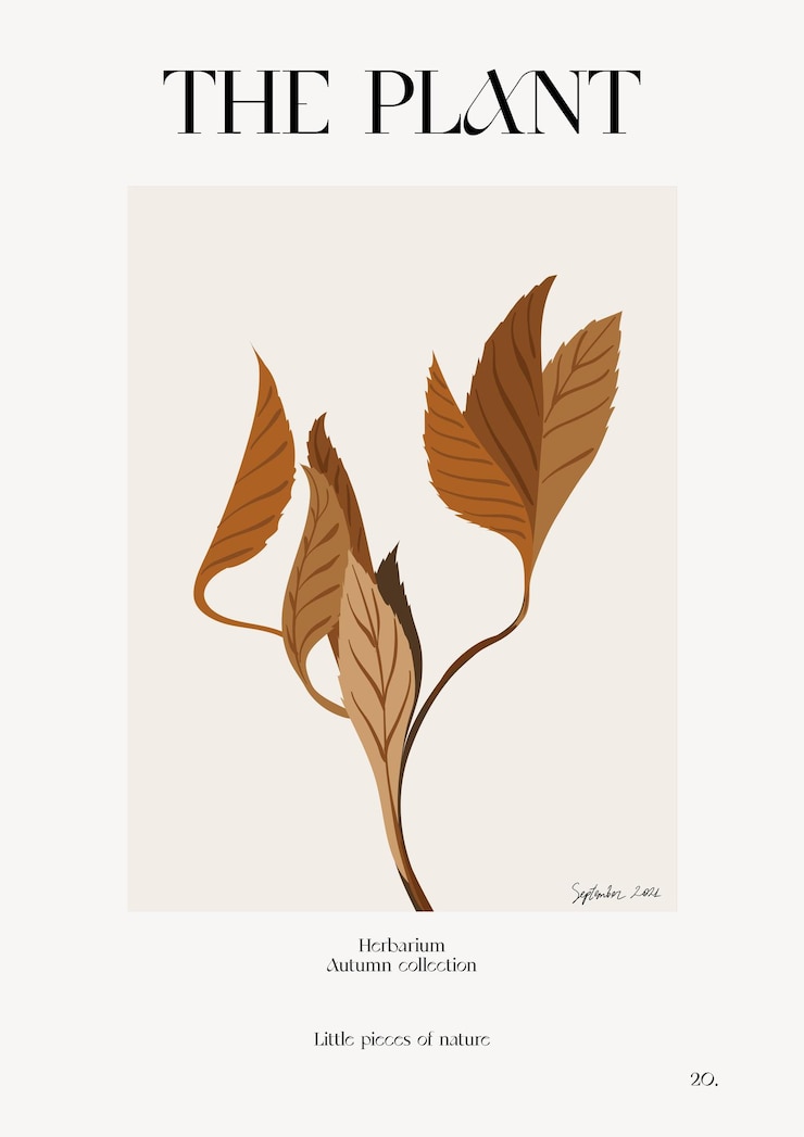 Vector la planta. afiche del mercado de flores de otoño. herbario