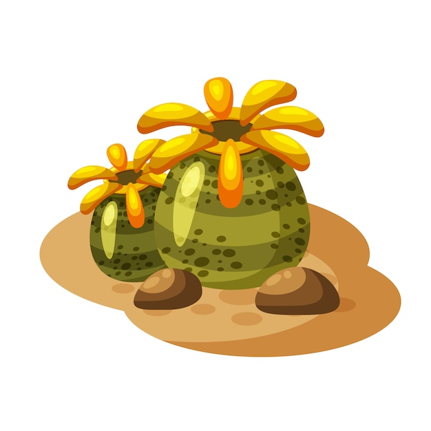 Planta de algas bajo el agua, estilo de dibujos animados, aislado sobre fondo blanco.